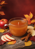 Hot Apple Cider Mug Candle